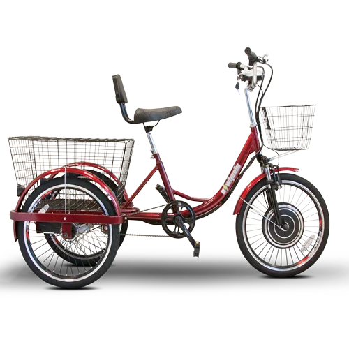 EW29 Electric Bike