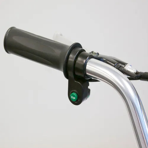EW29 Electric Bike