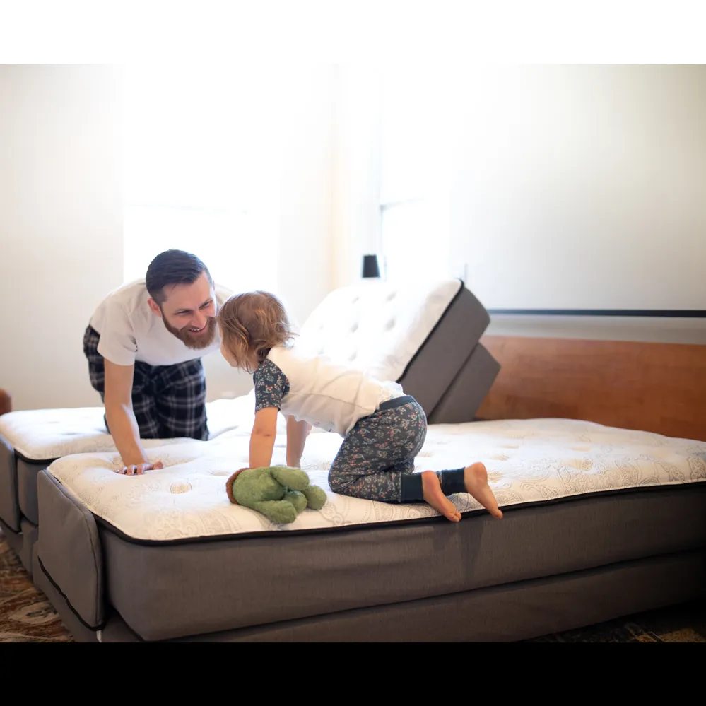 Flex-A-Bed Premier