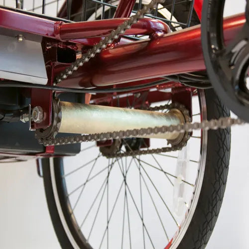 EW29 Electric Bike