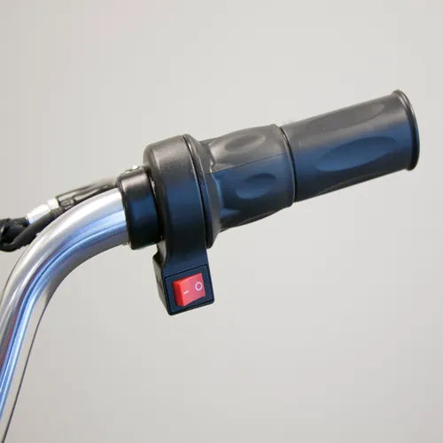 EW29 Electric Bike