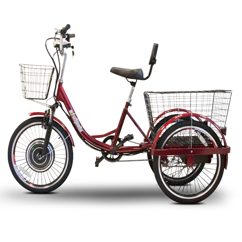 EW29 Electric Bike