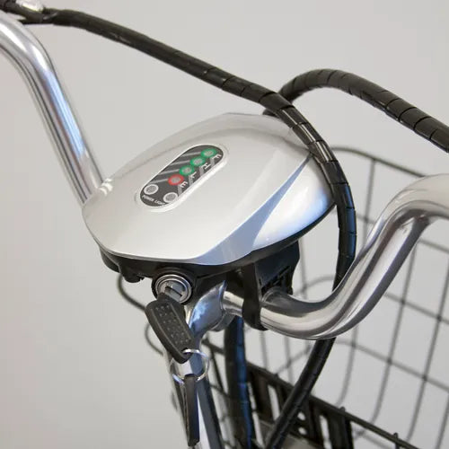 EW29 Electric Bike