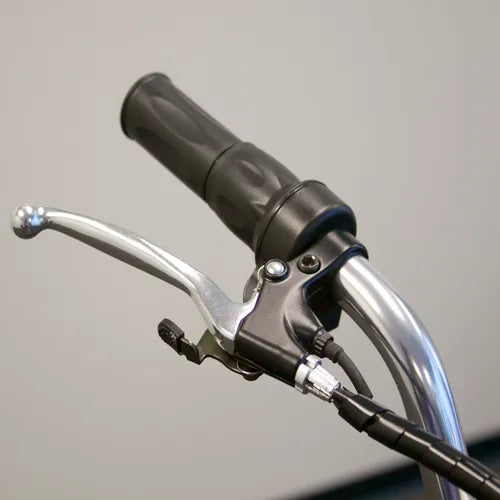 EW29 Electric Bike