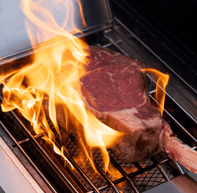 Eminence 405 ClearView® Smart Stainless Steel Gas Grill