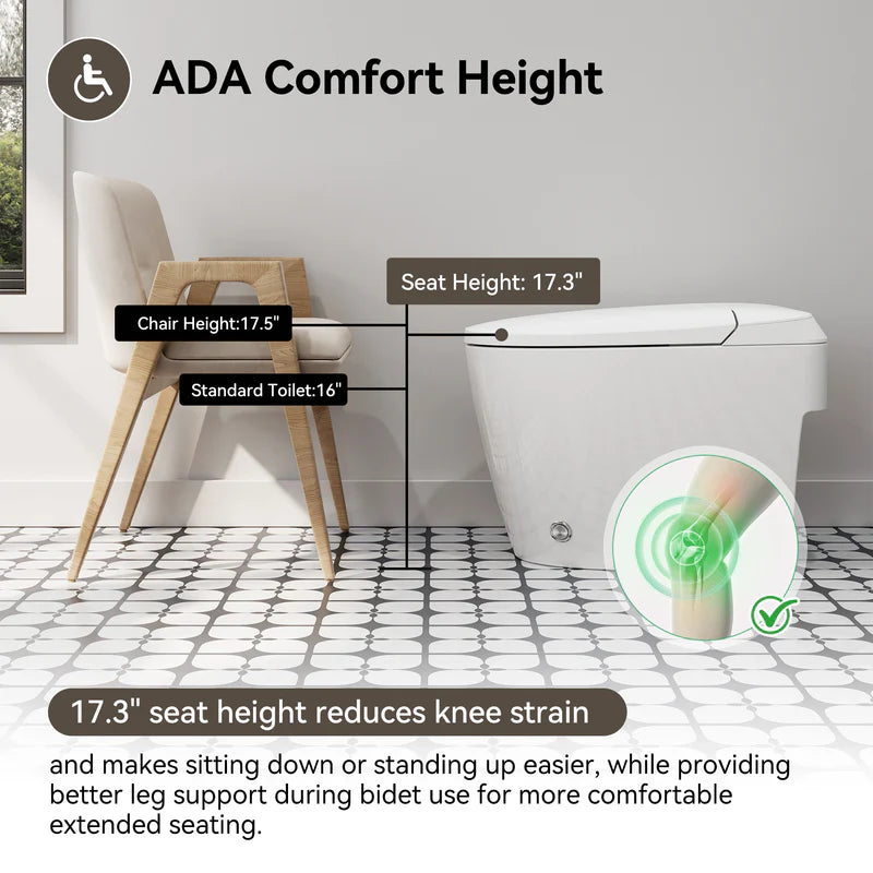 HOROW T30-NE 10-Inch Rough-In Non-Electric Bidet Toilet